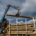 Bois de chauffage : camion complet, tout ce que vous devez savoir avant d’acheter