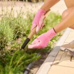 Astuces incroyables : votre nouvelle recette de grand-mère pour tuer les mauvaises herbes