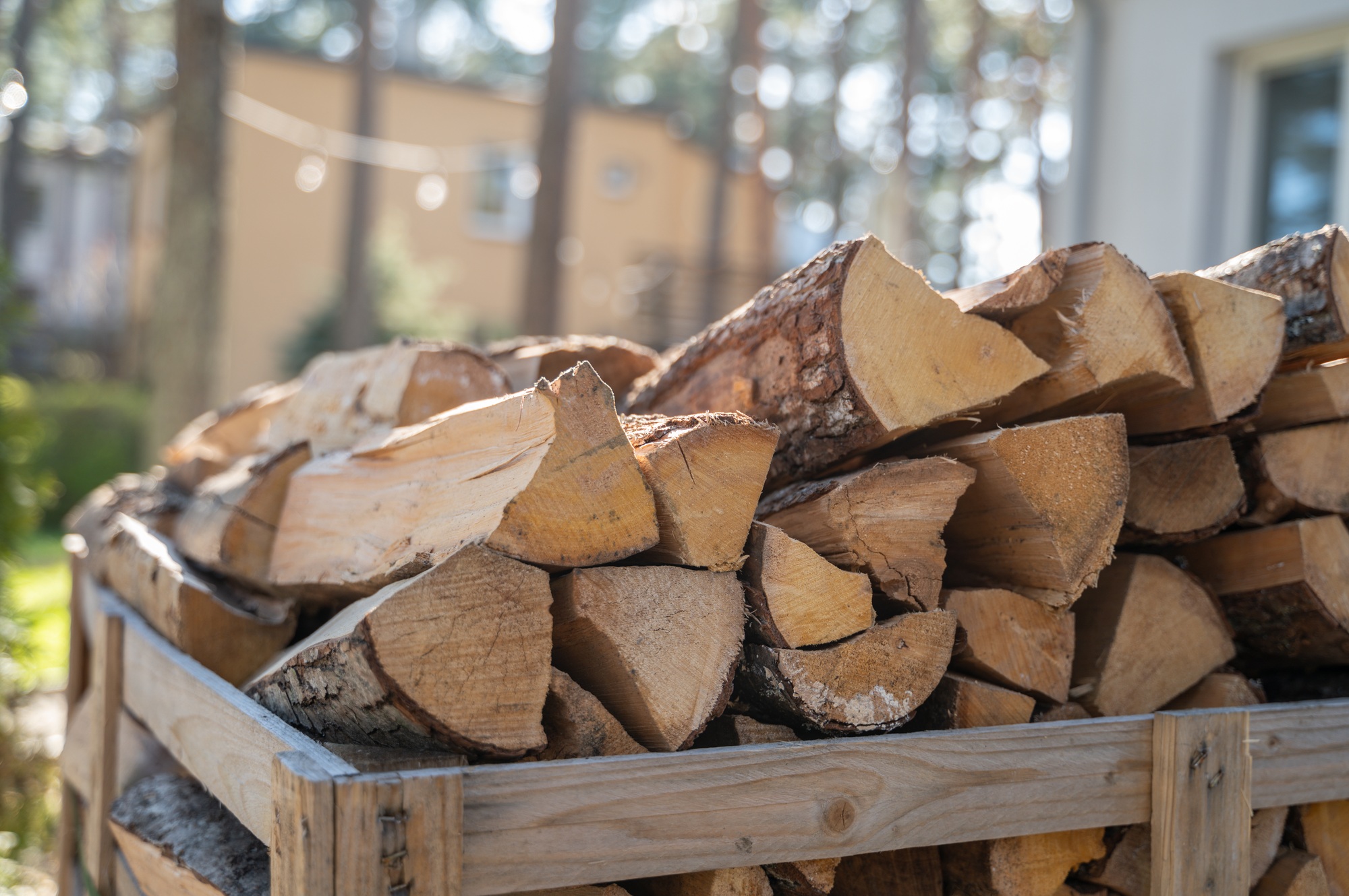Pallet with firewood on private backyard